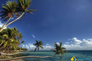 Manta Ray Bay Hotel & Yap Divers In Yap, Micronesia :: Wallpapers