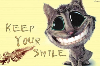 Cat Smiles Wallpapers HD