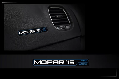 2015 Dodge Charger R/T With Mopar Performance Kit   Picture 122336