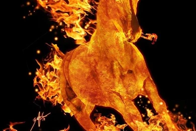 Fire Horse Galaxy Note 3 Wallpapers 08, HD, Note Wallpapers ...