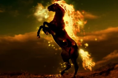 Horse On Fire By Ravr.deviantart.com On @deviantART