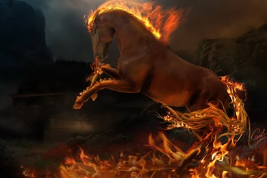 High Resolution Fire Horse Wallpapers Full Size   SiWallpaperHD 18840