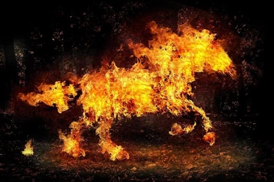 Horse Fire Pack 2 Wallpapers   Android Apps And Tests   AndroidPIT