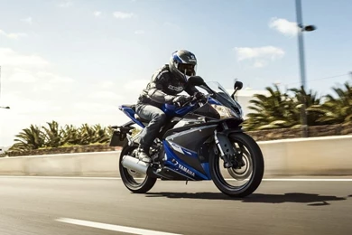 2014 Yamaha R125 Updated Specifications Pictures