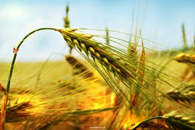 Cool Design Wallpapers Selection