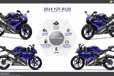 2014 Yamaha YZF R125
