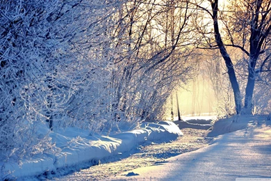 Winter Morning Light Wallpapers Full HD [2560x1600]   Free ...