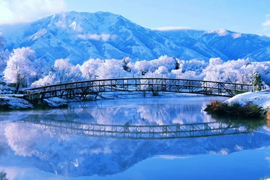 Blue Winter Desktop Wallpapers