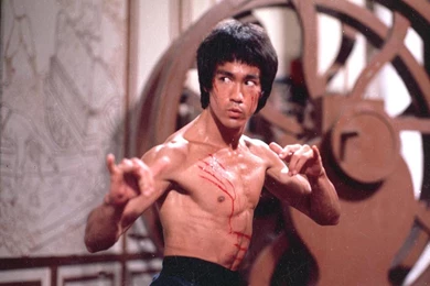 Bruce Lee Wallpapers   Male Celebrity   Crazy Frankenstein