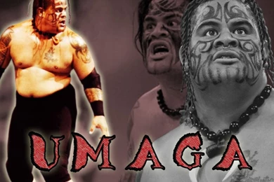 June 2011 ~ WWE Superstars,WWE Wallpapers,WWE Pictures