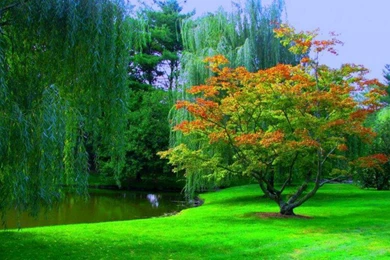 World Best Wallpapers For Mobile   HD Wallpapers Pretty