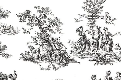 Early American Garden Black Toile Wallpapers Double Roll Bolts ...