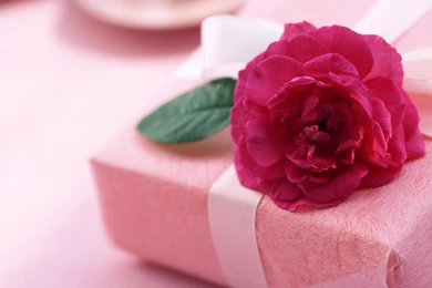 1600x1200 Gift From Love Desktop PC And Mac Wallpapers