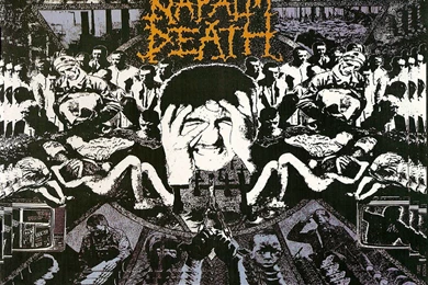 NAPALM DEATH Death Metal Thrash Heavy Cover E Wallpapers ...
