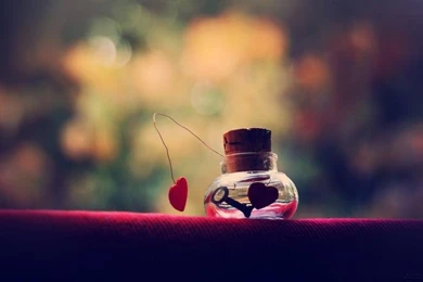 Symbol Of Love Wallpaper,love HD Wallpaper,red Heart HD Wallpapers ...