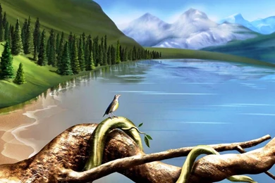 Latest Beautiful 3D Animal And Bird Wallpapers For Widescreen ...