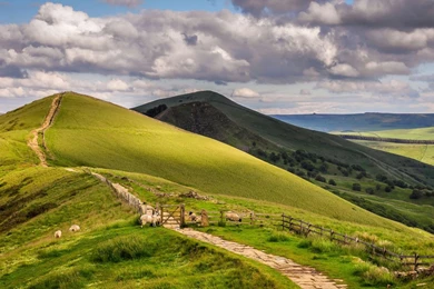 Sheep On Top Of The Green Hill, Road, Fence, Nature, 1920x1080 HD ...