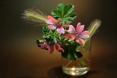 Ikebana Free Wallpapers (31 Photos) For Your Desktop, Download ...