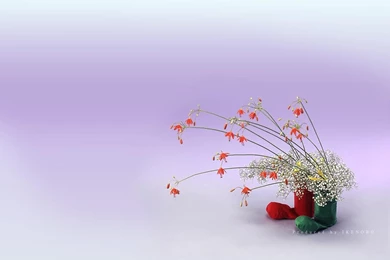 Ikebana Free Wallpapers (31 Photos) For Your Desktop, Download ...