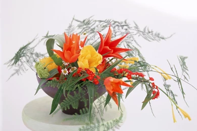 Download Wallpapers 1600x1200 Tulips, Daisies, Flowers, Herbs ...