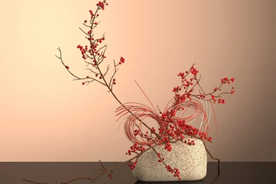 Small Accents Ikebana Mizuhiki 1 By DimitarKatsarov On DeviantArt