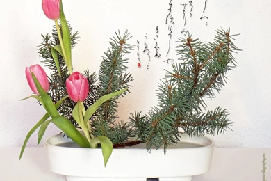 Japanese Calligraphy Desktop Wallpapers Seasons