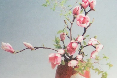 Seika Ikebana
