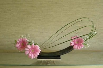 Free Style 自由花