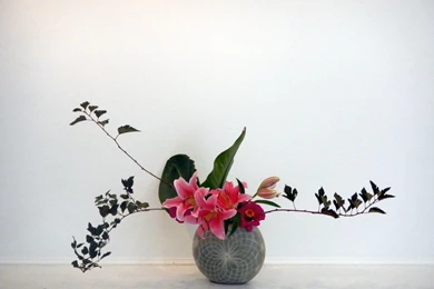 Illinois Prairie Chapter Ikenobo Ikebana Society Of America