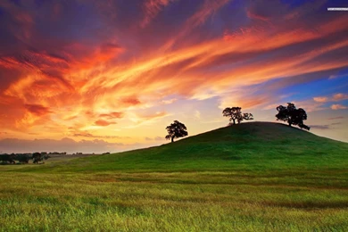 Sunset Behind The Green Hill, Tree, Sky, Cloud, Grass, Nature ...
