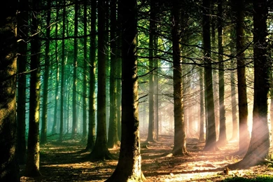 100 amazing backgrounds for mac 100 amazing backgrounds for mac