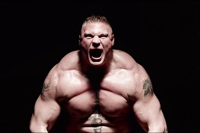 WWE Brock Lesnar 2015 Wallpapers   Wallpapers Cave