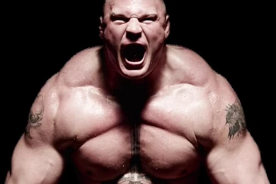 Brock Lesnar Wallpapers   Wallpapers Cave