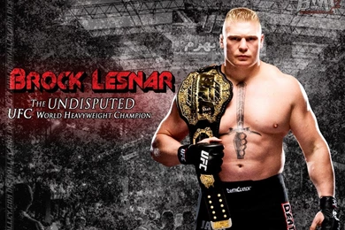 Wallpapers Brock Lesnar Of Desivalley Com 1024x768