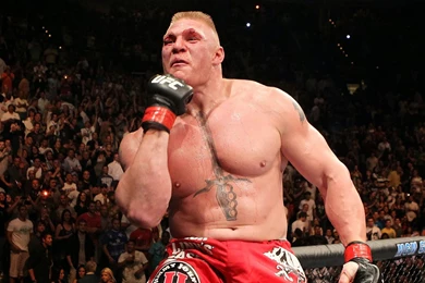 Brock Lesnar Wallpapers