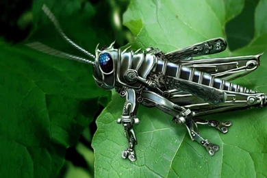 Best Grasshopper Robot Wallpapers For Android