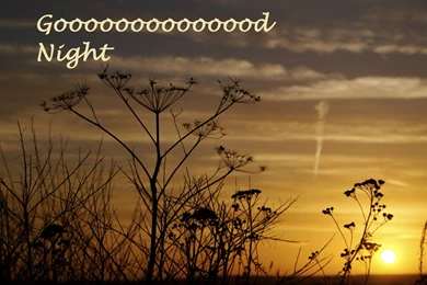 Good Night New Hd Wallpapers   Free Hd Wallpapers