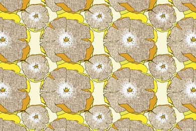 Desktop Wallpaper: 70s Wallpapers