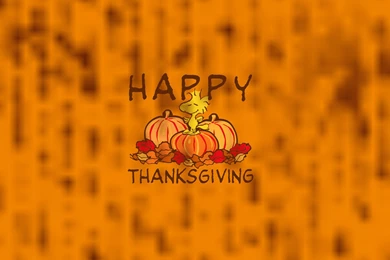 Sweet Thanksgiving Wallpapers