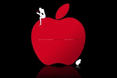 Death Note 1440x900 Wallpapers – Anime Death Note HD Desktop Wallpapers