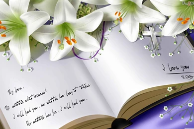 Beautiful Quotes Wallpapers, Love Quotes Wallpapers, Love Quotes ...