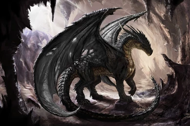 High Resolution Amazing Fantasy Dragon Wallpapers HD 11 Full Size ...