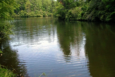 LAKE IN NORTH CAROLINA WALLPAPER   (