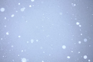 Snow Falling On Blue Sky 1920x1200 Wallpapers