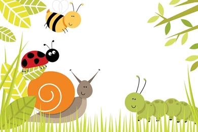 High Quality Cute Bug Wallpapers   Gallsource.com