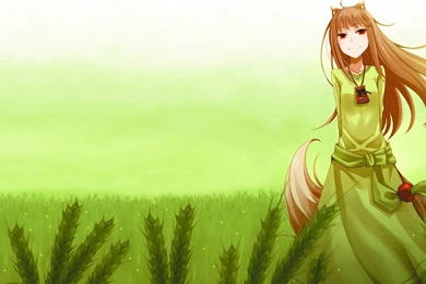 Holo Wearing Green   Spice And Wolf Wallpapers