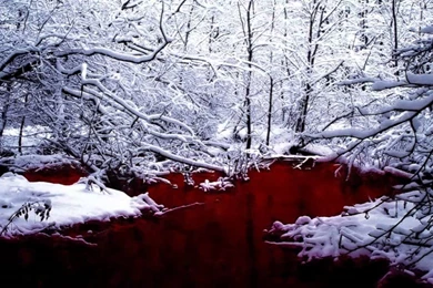 Bloody Winter Video Backgrounds Loop   YouTube