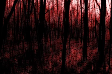 Bloody forest By TNorthface On DeviantArt