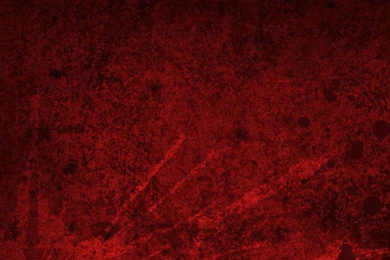 Imagebase: Free Stock Photography