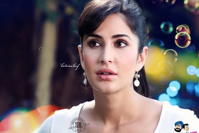 Wallpapers Katrina Kaif Hot Pics Gallery New Cute 1024x768 ...